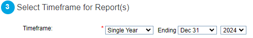Single-year reporting selection in the City's example, which uses December 31, 2024.
